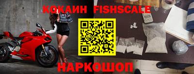 гидра Будённовск