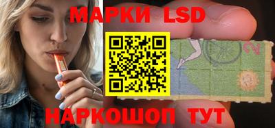 гидра Будённовск