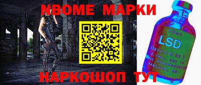 гидра Будённовск