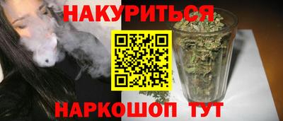 гидра Будённовск
