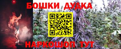 гидра Будённовск