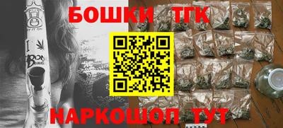 гидра Будённовск