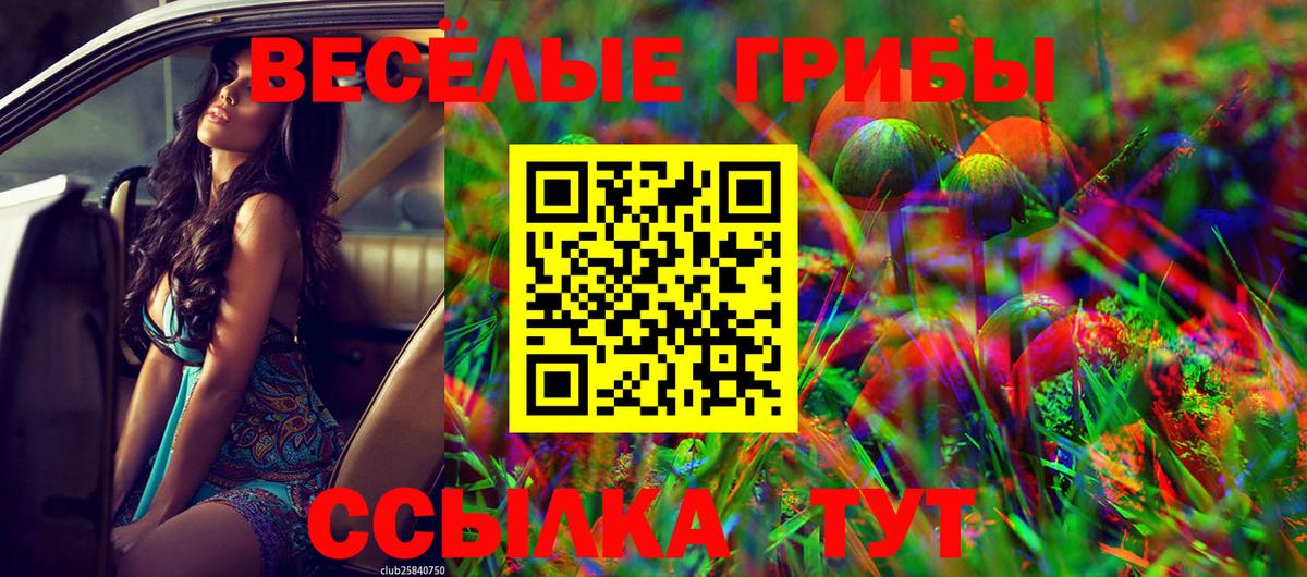 Галлюциногенные грибы мицелий  Вход с VPN  Сертолово 