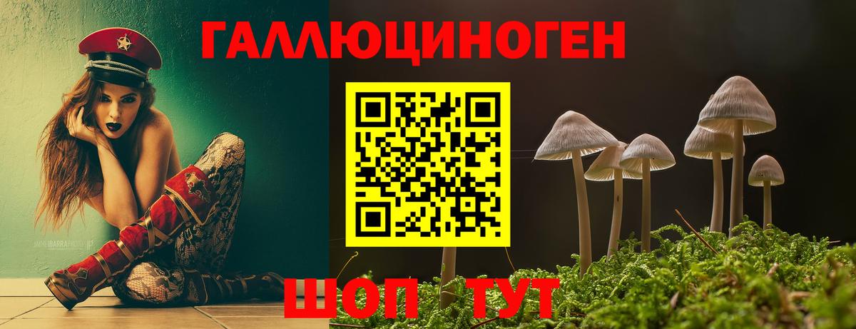 Галлюциногенные грибы Psilocybe Сертолово